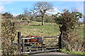 Entrance to Coed Cariad Farm