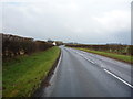 National Cycle Route 1 near Wood Cottage