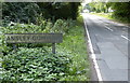 Pipers Lane at Ansley Common