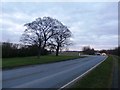 A161 Road at  Woodhouse