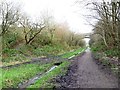 SK0296 : The Longdendale Trail, heading north east by Christine Johnstone