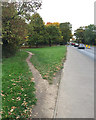 SP3780 : Desire line by Clifford Bridge Road, Walsgrave, Coventry by Robin Stott