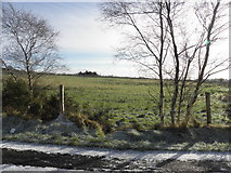 H5775 : Loughmacrory Townland by Kenneth  Allen