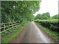 Track to Bog Common Cottages