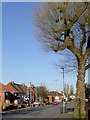 Housing in Dixon Street, near Rough Hills, Wolverhampton