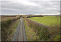 Railway line near Aldergrove