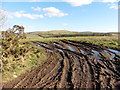 Bridleway at Northland Corner