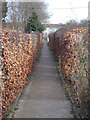 Footpath - Humley Road