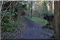 Woodland on the Blaise Castle Estate