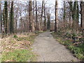 Footpath through Holmes Plantation - Heeley Road