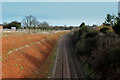 Railway Cutting along the Northern Edge of Henbury