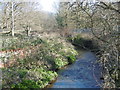 River Shuttle near Bexley Village