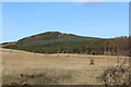 Moorland at Dundeugh Hill