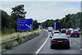 SE5207 : A1M Doncaster Bypass, Brodsworth Woodlands by David Dixon