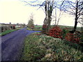 Glenfern Road, Clanabogan Lower