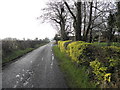 Ballyglass Road, Tattykeel