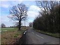 Plumtree Road, near Hawkenbury