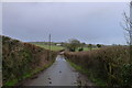 Puddle on Dundry Lane