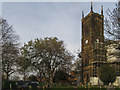 Holy Trinity Lenton, Churchyard Lucombe Oak