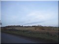 View from Albury Road, Little Hadham