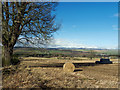 Fields at Bishop Kinkell