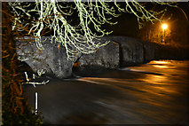 SS9307 : Bickleigh : Bickleigh Bridge & River Exe by Lewis Clarke