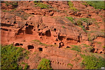 SX9777 : Red Sandstone outcrop by N Chadwick