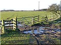 Muddy gateway