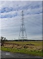 NZ2684 : Pylon near Bomarsund Farm by Russel Wills