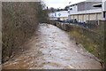 The Gala Water in Galashiels