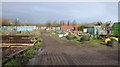ST5478 : Atwood Drive allotments in Lawrence Weston by Dr Duncan Pepper