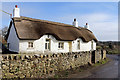 Thatched Cottage