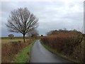 Cork Lane, near Staplehurst