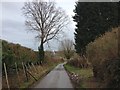 Cork Lane, near Staplehurst