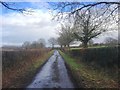 Bettenham Lane, near Biddenden