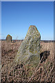 Sheldon of Bourtie Stone Circle (4)