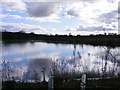 Mill Coppice Pool