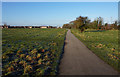 Hob Moor Local Nature Reserve, York