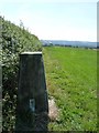 Trigpoint at Gardland