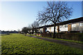 Houses on Herman Walk,  Woodthorne