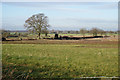 SE5649 : Farmland off Askham Bryan Lane by Ian S