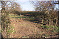 Gateway to field from Cuckoo Lane