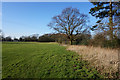 Path leading to Askham Richard