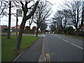 Bus stop on Cross Lane