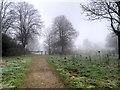 Path into Springwater Park