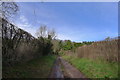 Keeds Lane climbing the escarpment north of Long Ashton