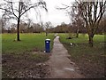 Path through Withy Grove Park