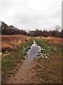 Footpath from Withy Grove Park to Brindle Road