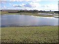 Flooded farmland south-east of Moor Lane