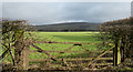 NY6037 : Grassed field beyond wooden gate by Trevor Littlewood